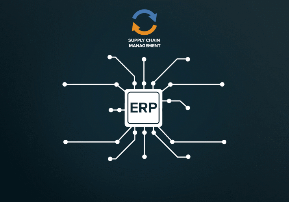 ERP GIF